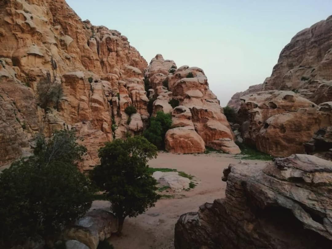 Euphoria Guest House Wadi Musa Esterno foto